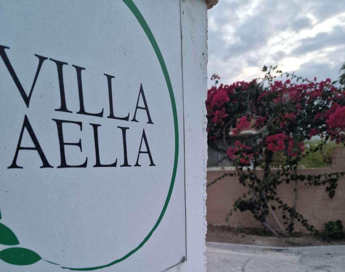 Aelia House Kefalos - Cozy & Quiet Exterior foto